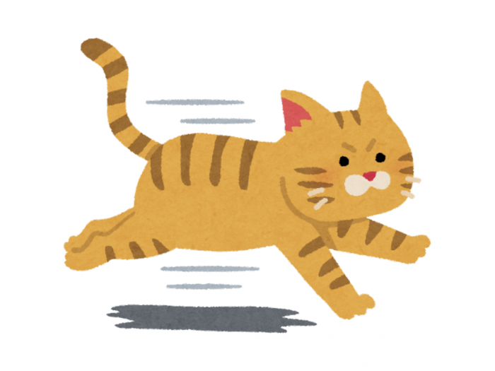 ねことの生活 339